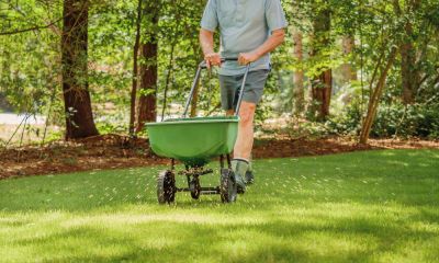 Great for Commercial and Residential Lawns!